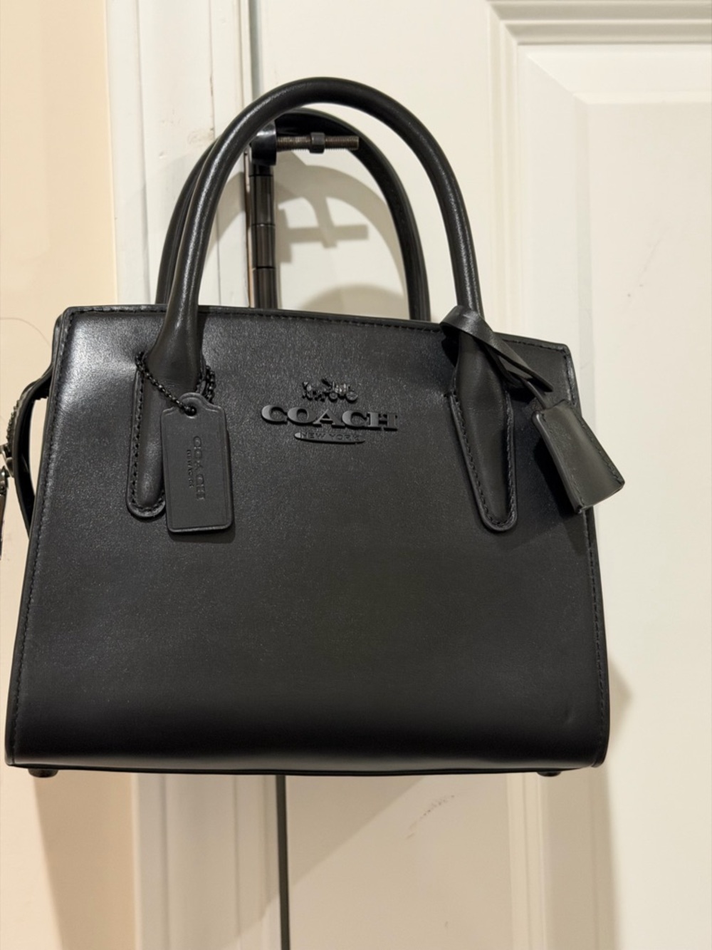 Coach Andrea Small Carryall Bag